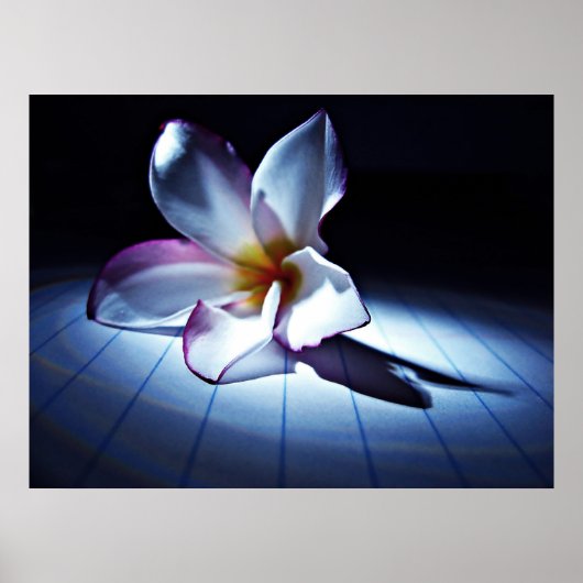 DRAMA (edt) Poster (Voorkant)