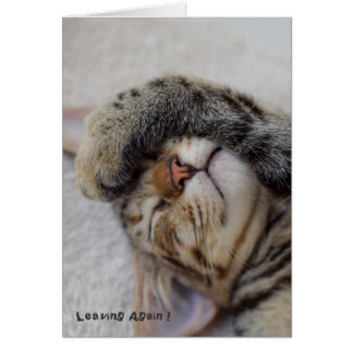 Drama Kat moet je gaan?