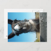 Drama Llama Briefkaart (Voorkant / Achterkant)