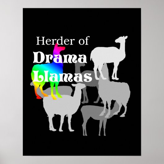 Drama Llama Herder Poster (Voorkant)