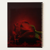 Drama of Love, le Rose gothique de Memory. (Dos)