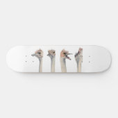 "Drama Queen" Funny Ostriches schilderen Skateboard (Horizontaal)