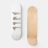 "Drama Queen" Funny Ostriches schilderen Skateboard (Voorkant)