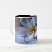 DRAMA TWEEKLEURIGE KOFFIEMOK (Voorkant links)