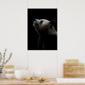 Dramatic Giant Panda Portrait Poster (Keuken)