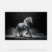 Dramatic White Horse Galloping in Rain (Recto)