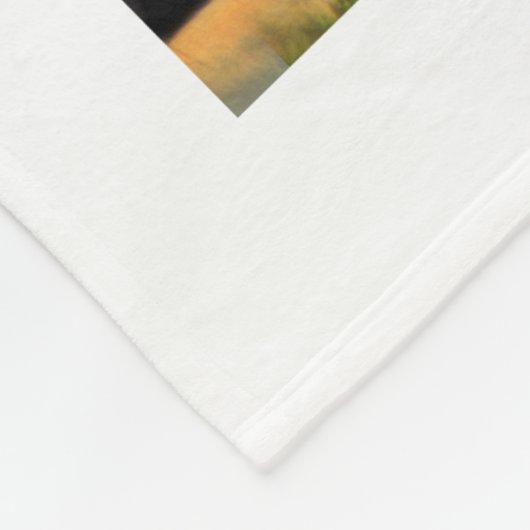 Dramatische Afrikaanse leeuwenkortrait Fleece Blan (Hoek)