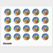Dramatische Chipmunk Ronde Sticker (Vel)