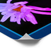 Dramatische Daisy Flower Abstract getint Poster (Hoek)