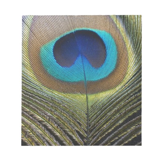 Dramatische Peacock-doether Notitieblok (Voorkant)