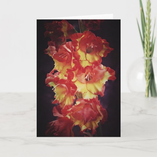 Dramatische Red Gold Gladiolus Flowers Art Note Ka Kaart (Voorkant)