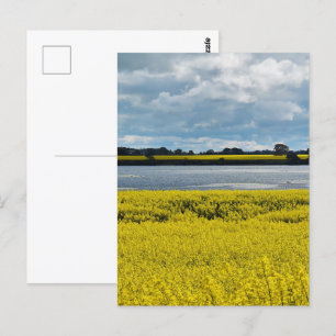 Dramatische Streatham Beauty Briefkaart