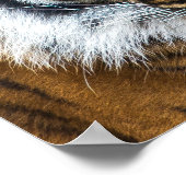 Dramatische tijgervlakte poster (Hoek)