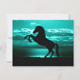 Dramatische Zwarte Paard Turquoise Lucht Vredige A Briefkaart