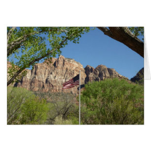 Drapeau américain dans le parc national de Zion II