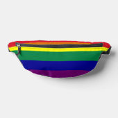 Drapeau arc-en-ciel (Poser)