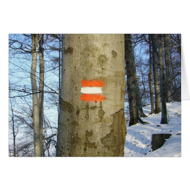 drapeau autrichien (Devant horizontal)