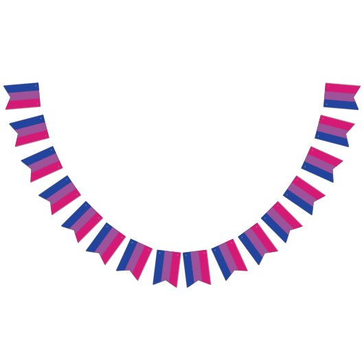 Drapeau Bi Bunting (Tout)