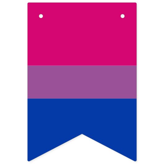 Drapeau bisexuel et drapeau arc-en-ciel, drapeau d (Premier drapeau)