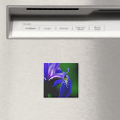 Drapeau bleu Iris Fleur Fermer Magnet (In Situ (Lave-vaisselle))