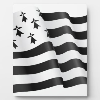 Drapeau breton (Bretonse vlag) Fotoplaat