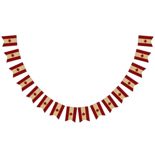 Drapeau canadien vintage de feuille d'érable (Tout)