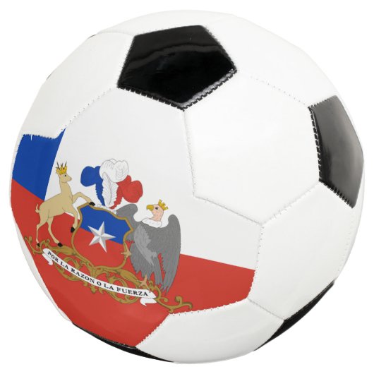 Drapeau chilien (3/4)