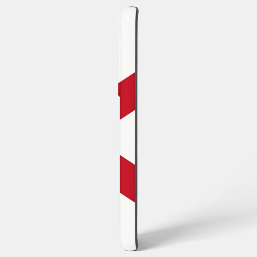 Drapeau Coque Samsung Galaxy S21 Plus de Floride (Côté gauche)