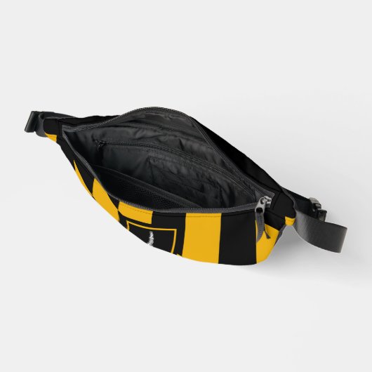 Drapeau de Baltimore, Maryland (Ouvrir)