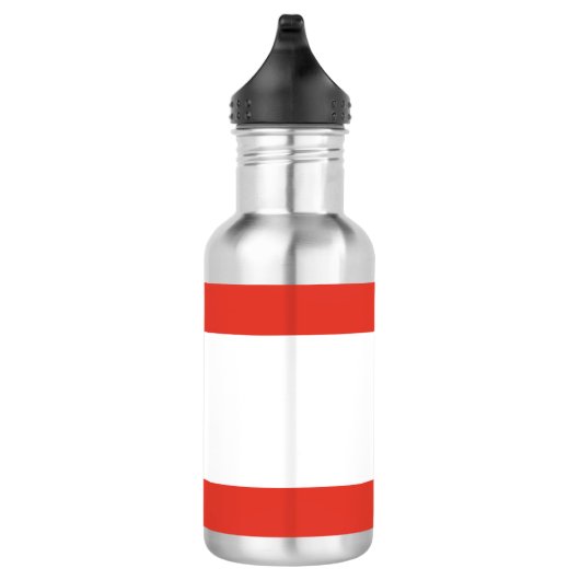 Drapeau de Berlin Bouteille en acier inoxydable (Droite)