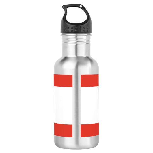 Drapeau de Berlin Bouteille en acier inoxydable (Dos)