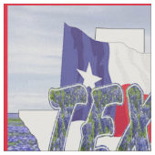 Drapeau de Bluebonnets de Texas et tissu de (Fermer)