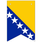 Drapeau de Bosnie-Herzégovine (Premier drapeau)