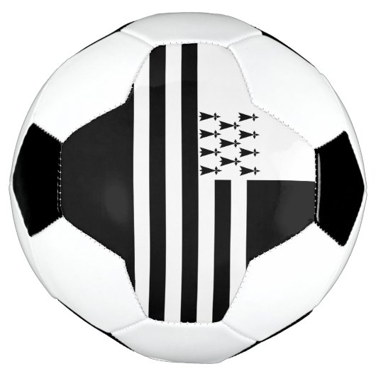 Drapeau de Bretagne patriotique (Tourné)