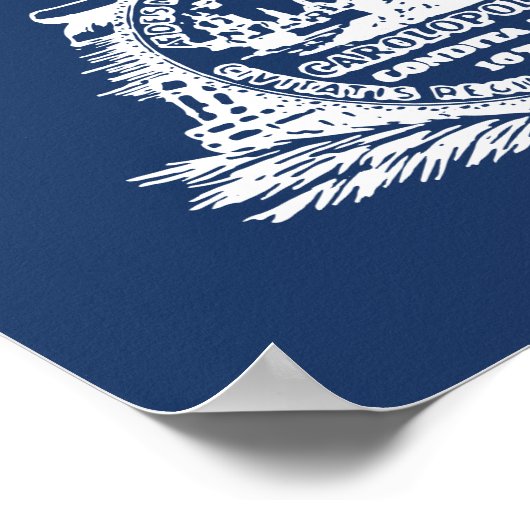 Drapeau de Charleston, affiche de Caroline du Sud (Coin)