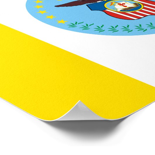 Drapeau de Columbus, Ohio Poster (Coin)