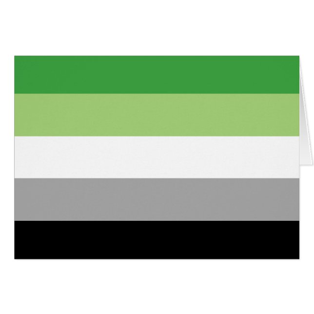 Drapeau de fierté aromantique LGBTQ (Devant horizontal)