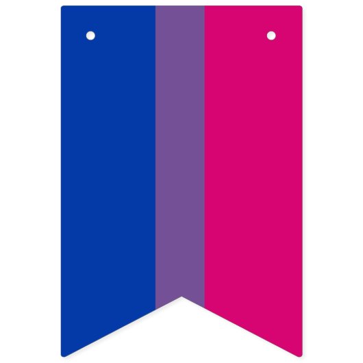 Drapeau de fierté bisexuel (Deuxième drapeau)