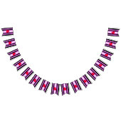 Drapeau de fierté de fille de cuir (Tout)