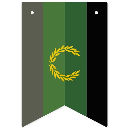 Drapeau de fierté de l'uniforme militaire (Deuxième drapeau)