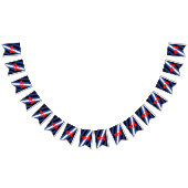 Drapeau de fierté de masque (Tout)