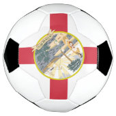 Drapeau de Floride : L'état de soleil des Floridie (Tourné)