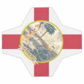 Drapeau de Floride : L'état de soleil des Floridie (Plat)