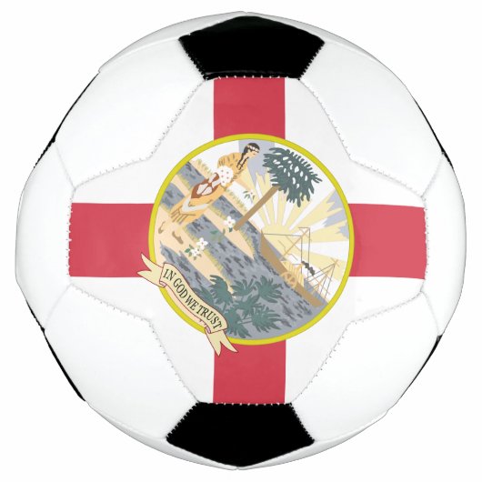 Drapeau de Floride : L'état de soleil des Floridie (Devant)