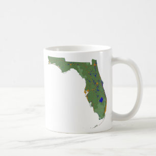 Drapeau de Floride + Tasse de carte