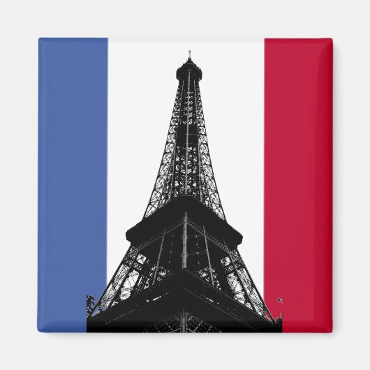 Drapeau de France Magnet (Devant)