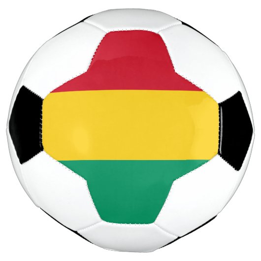 Drapeau de Guinée (Tourné)