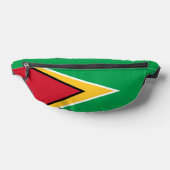 Drapeau de Guyana (Poser)
