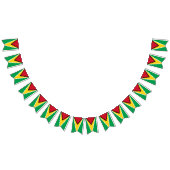 Drapeau de Guyana (Tout)