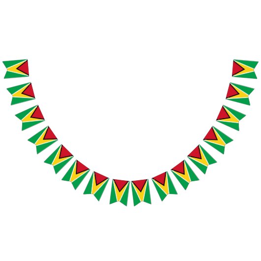 Drapeau de Guyana (Tout)